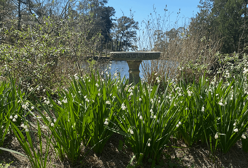 Memorial Garden